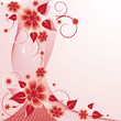 Rose Floral background Rose Floral background