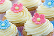 Cupcakes Cupcakes