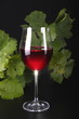 Rotweinglas mit Rotwein