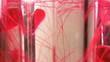 Rotation of the glass object with red line