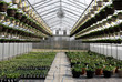 Photo: Inside a Small Greenhouse Inside a Small Greenhouse