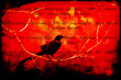 The Raven