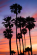 California sunset