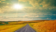 Empty road in sunset