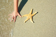 woman hand in the sand woman hand in the sand