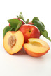 nectarines sur fond blanc nectarines sur fond blanc