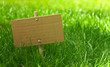 message vert - marketing écologique dans la nature