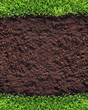 Photos : Healthy grass and soil background