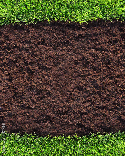 Photo: Healthy grass and soil background Healthy grass and soil background