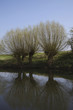 river avon