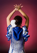 Classical spanish dance Classical spanish dance