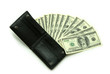 Detaily fotografie money in wallet