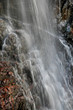 cascade