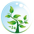 Bulle de Plante