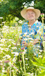 Blumen
