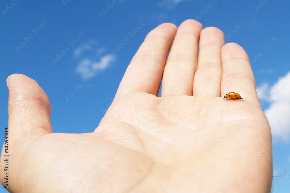 1000_F_14765508_00XDZxWrV9FYjwstCkL792zyQO8FxSRn.jpg