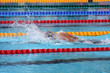 natation