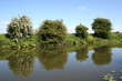 reflections in River Avon
