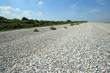 Plage de galet,le Hourdel Plage de galet,le Hourdel