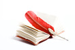 a red writing feather on a diary on a white background a red writing feather on a diary on a white background