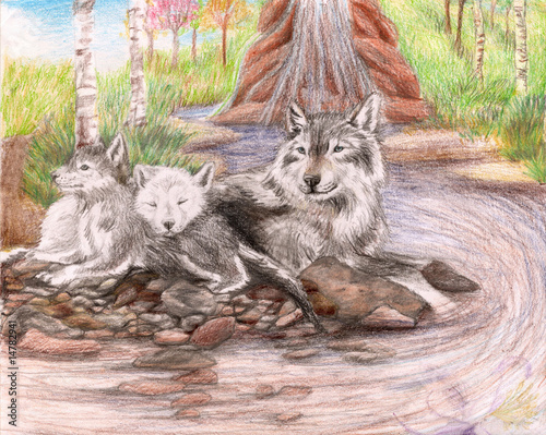 Photo: Family of wolves sitting by a dirty stream Family of wolves sitting by a dirty stream