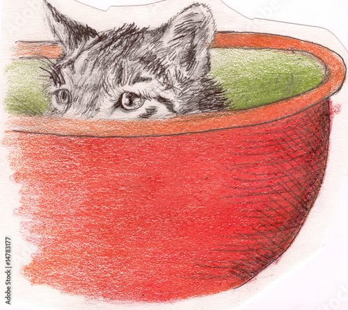 Photo: Sketch of a cat poking his head out of a bowl Sketch of a cat poking his head out of a bowl