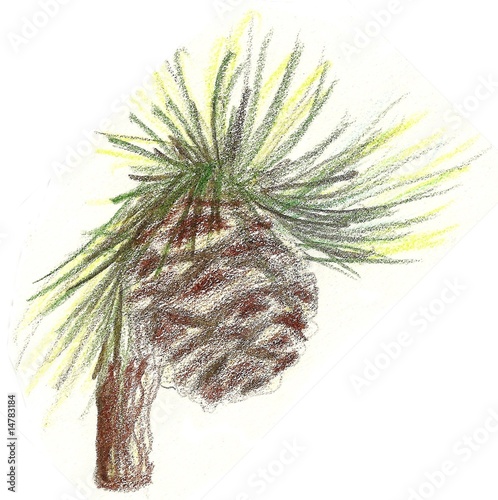 Illustration: Pinecoe Pinecoe