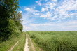 path
