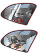 Car Burglary Illustration