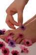 feet