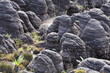 Mount Roraima landscape
