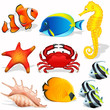 Sea animals Sea animals