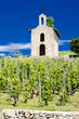 grand cru vineyard, L´Hermitage, Rhône-Alpes, France grand cru vineyard, L´Hermitage, Rhône-Alpes, France