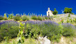 L´Hermitage, Rhône-Alpes, France L´Hermitage, Rhône-Alpes, France