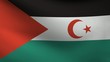 sahara occidental flag