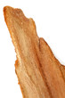 écorce d'eucalyptus, face interne