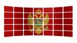 Monitor Montenegro