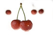 Cherry Cherry