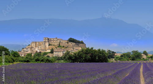 lavande de grignan lavande de grignan