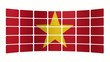 Monitor Vietnam
