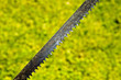 Saw blade