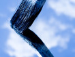 Paint brush
