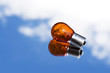 Orange lightbulb