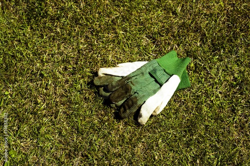 Foto: Gardening gloves Gardening gloves