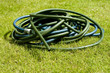 Garden hose