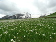 montagnes enneigées dans les nuages 300509111 montagnes enneigées dans les nuages 300509111