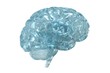 Illustration: Glass 3D view of the human brain Glass 3D view of the human brain