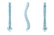 Illustration: 3d illustration of a human backbone. 3d illustration of a human backbone.