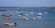 Brest059