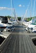 A Walk Down The Dock
